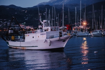 Ittica Nemo